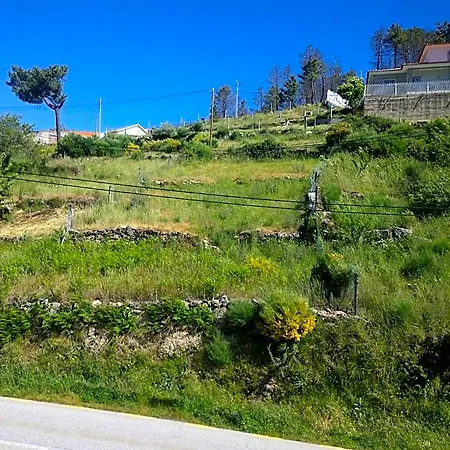 Monte Estrela *