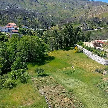 Monte Estrela